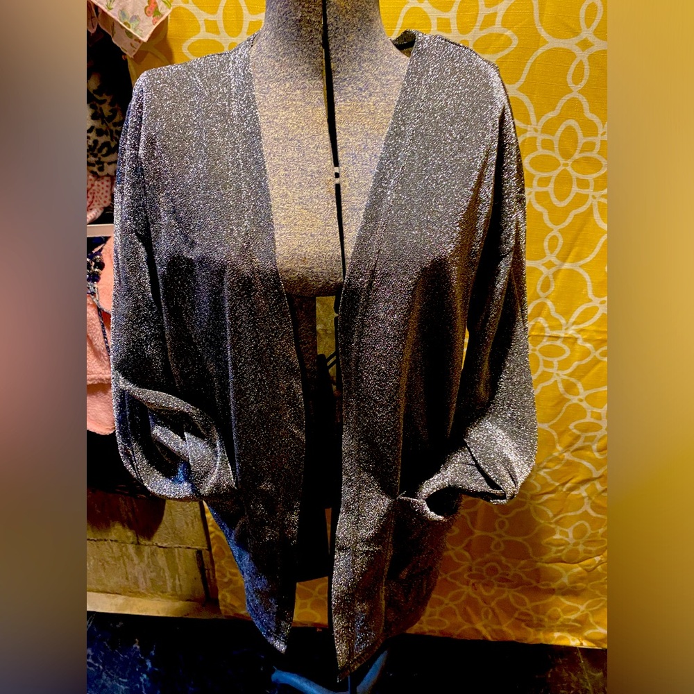 Shimmery Cardigan.   Never worn!